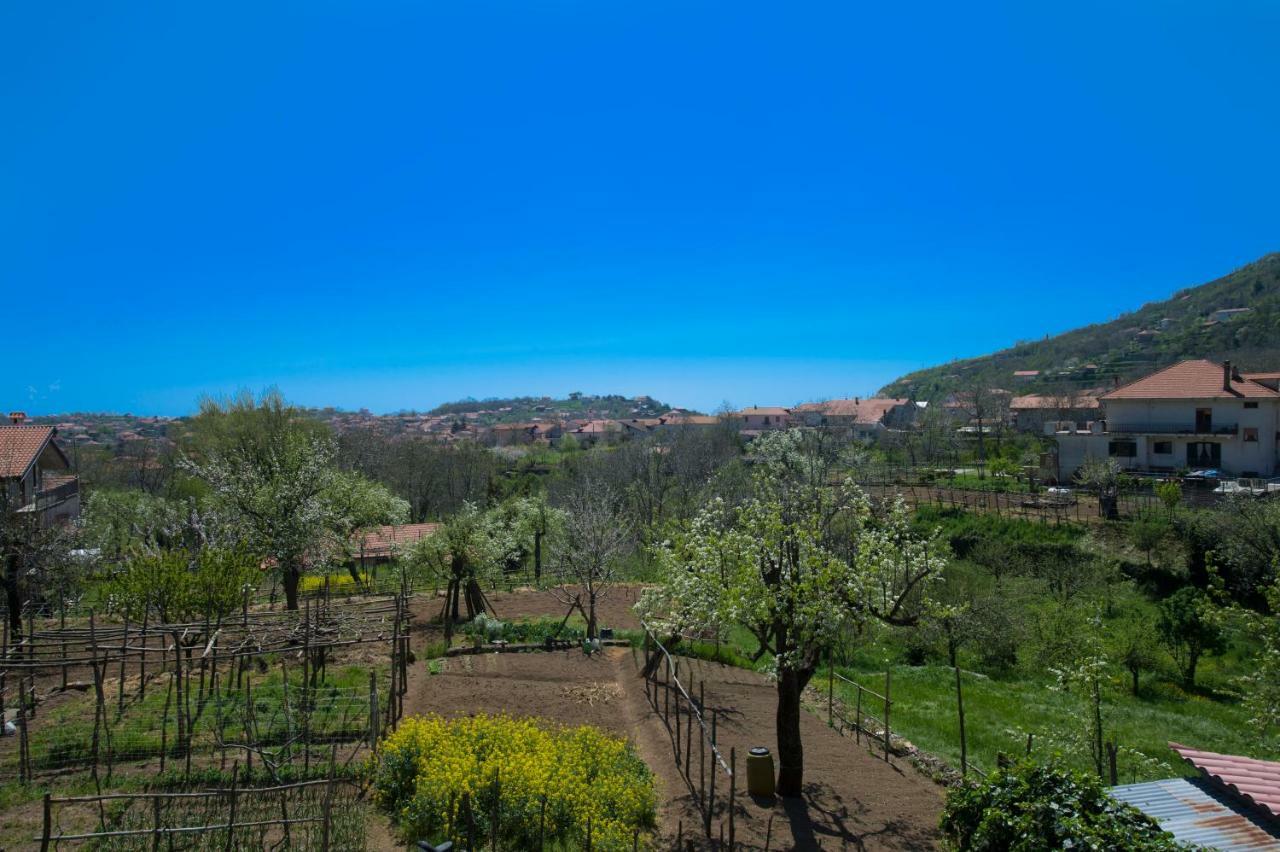 Al Cortile Di Nonno Luigi Villa Agerola Exterior photo
